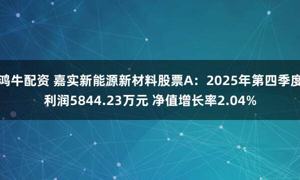 鸿牛配资 嘉实新能源新材料股票A：2025年第四季度利润5844.23万元 净值增长率2.04%