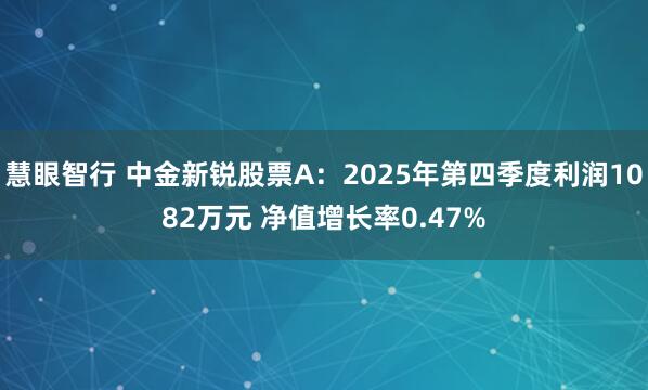 慧眼智行 中金新锐股票A：2025年第四季度利润1082万元 净值增长率0.47%
