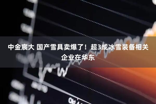 中金宸大 国产雪具卖爆了！超3成冰雪装备相关企业在华东