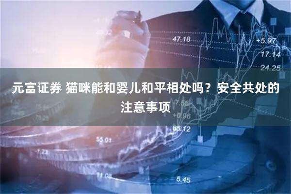 元富证券 猫咪能和婴儿和平相处吗？安全共处的注意事项