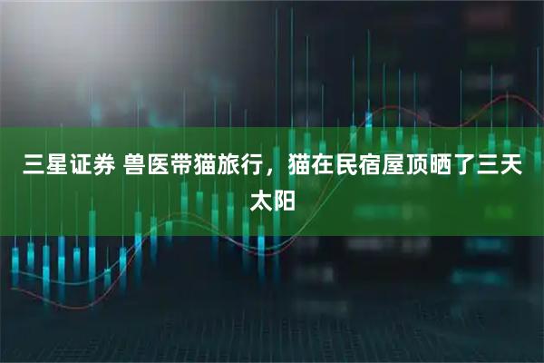 三星证券 兽医带猫旅行，猫在民宿屋顶晒了三天太阳